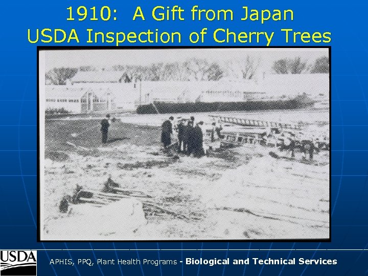 1910: A Gift from Japan USDA Inspection of Cherry Trees ____________________________________ APHIS, PPQ, Plant