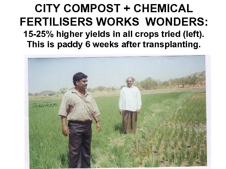 CITY COMPOST + CHEMICAL FERTILISERS WORKS WONDERS: 15 -25% higher yields in all crops