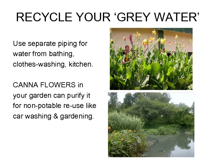 RECYCLE YOUR ‘GREY WATER’ Use separate piping for water from bathing, clothes-washing, kitchen. CANNA