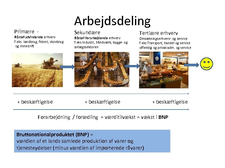 Primære - Råstofudvindende erhverv f. eks. landbrug, fiskeri, skovbrug og minedrift + beskæftigelse Arbejdsdeling