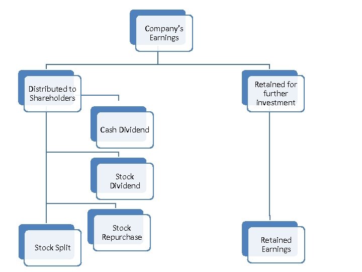 Company’s Earnings Retained for further investment Distributed to Shareholders Cash Dividend Stock Repurchase Stock