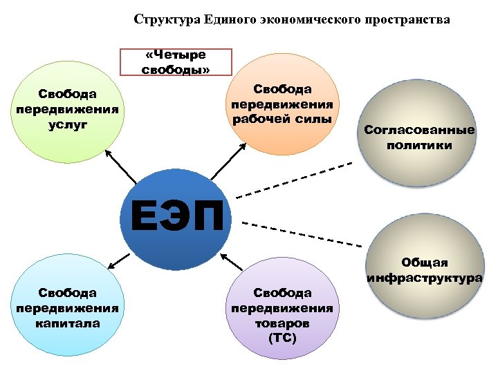 Структура Единого экономического пространства «Четыре свободы» Свобода передвижения рабочей силы Свобода передвижения услуг Согласованные