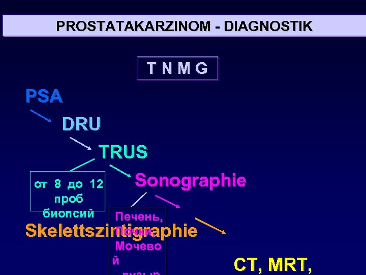 PROSTATAKARZINOM - DIAGNOSTIK TNMG PSA DRU TRUS Sonographie 12 от 8 до проб биопсий