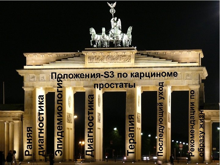 Рекомендации по образу жизни Последующий уход Терапия Диагностика Эпидемиология Раняя диагностика Положения-S 3 по