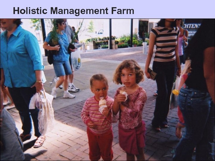 Holistic Management Farm 