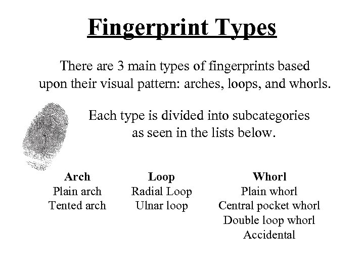 Fingerprint Types There are 3 main types of fingerprints based upon their visual pattern: