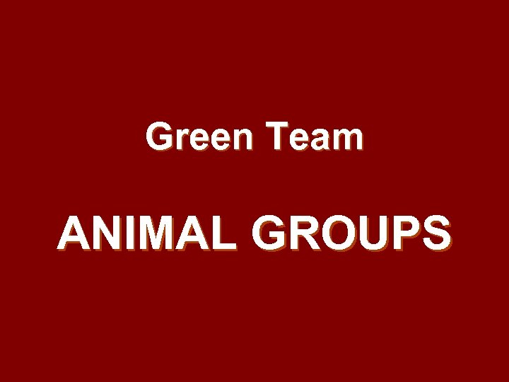 Green Team ANIMAL GROUPS 