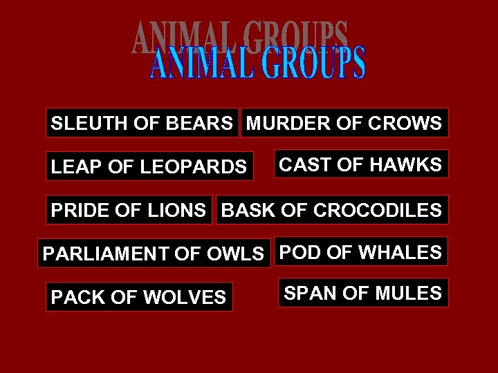 SLEUTH OF BEARS MURDER OF CROWS LEAP OF LEOPARDS CAST OF HAWKS PRIDE OF