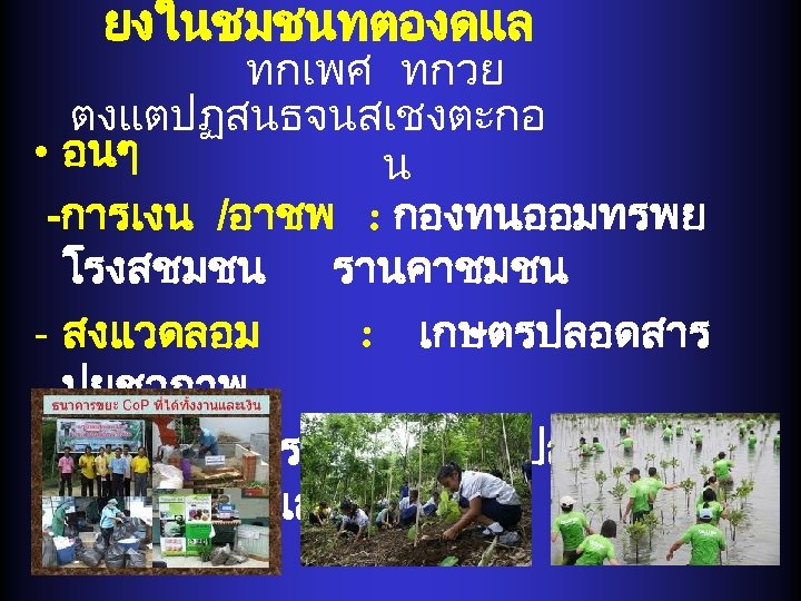 ยงในชมชนทตองดแล ทกเพศ ทกวย ตงแตปฏสนธจนสเชงตะกอ • อนๆ น -การเงน /อาชพ : กองทนออมทรพย โรงสชมชน รานคาชมชน -