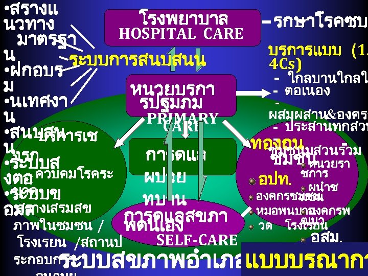  • สรางแ โรงพยาบาล รกษาโรคซบ นวทาง HOSPITAL CARE มาตรฐา บรการแบบ (1 A น ระบบการสนบสนน