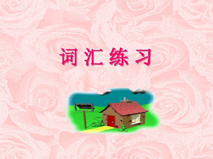 词 汇 练 习 
