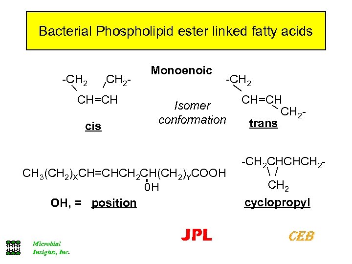 Bacterial Phospholipid ester linked fatty acids -CH 2 - CH=CH cis Monoenoic -CH 2