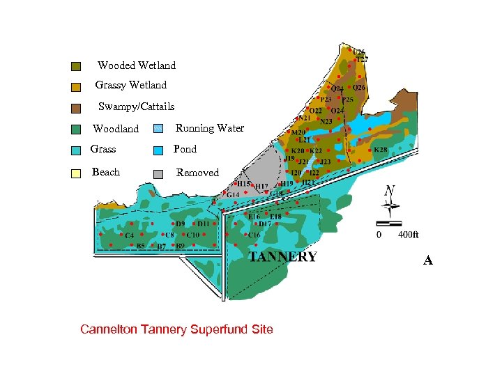 Wooded Wetland Grassy Wetland Swampy/Cattails Woodland Running Water Grass Pond Beach Removed A Cannelton