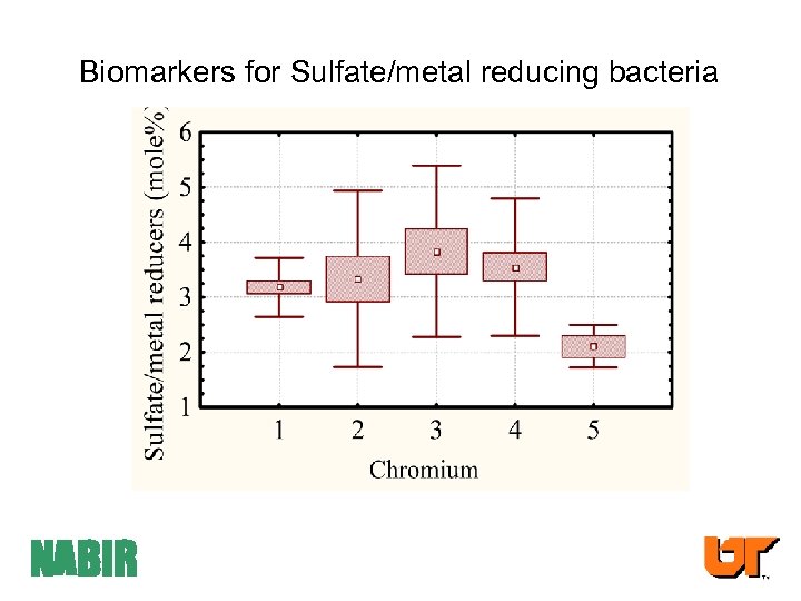 Biomarkers for Sulfate/metal reducing bacteria NABIR 