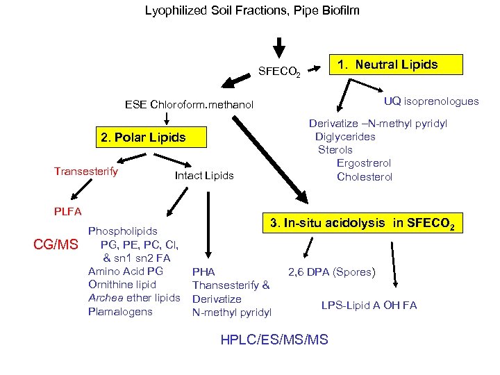  Lyophilized Soil Fractions, Pipe Biofilm SFECO 2 1. Neutral Lipids UQ isoprenologues ESE