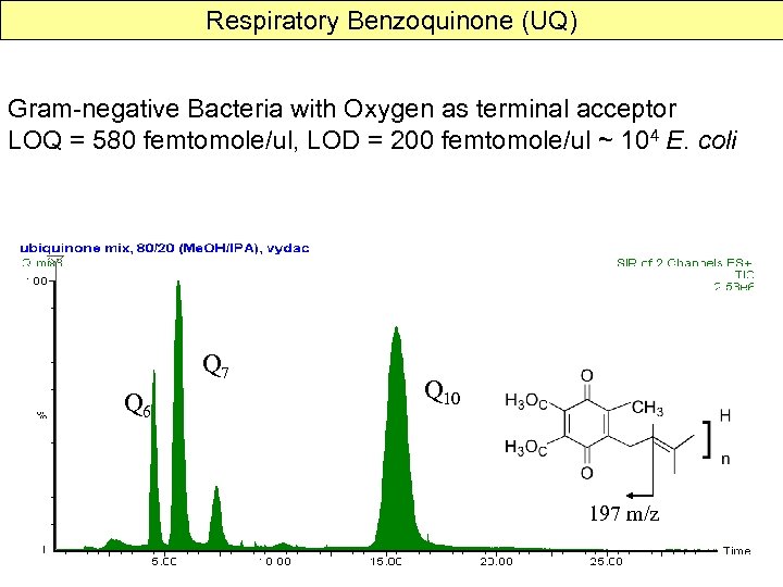 Respiratory Benzoquinone (UQ) Gram-negative Bacteria with Oxygen as terminal acceptor LOQ = 580 femtomole/ul,