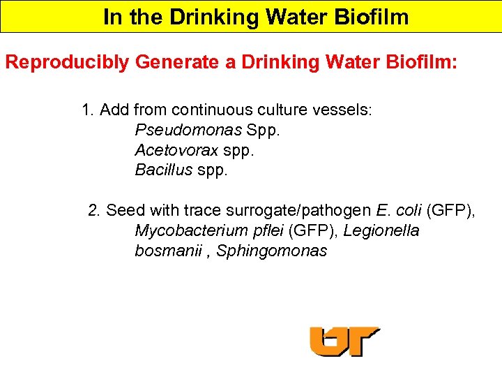  In the Drinking Water Biofilm Reproducibly Generate a Drinking Water Biofilm: 1. Add
