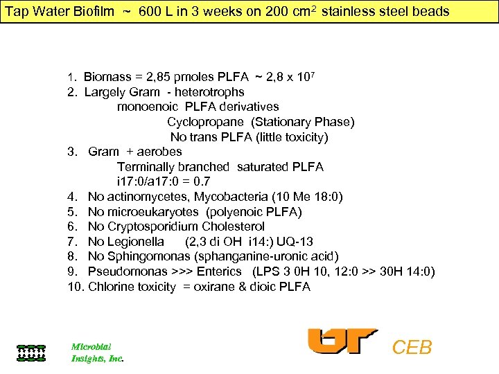 Tap Water Biofilm ~ 600 L in 3 weeks on 200 cm 2 stainless