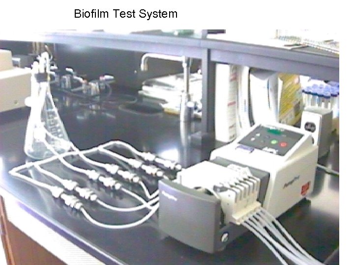 Biofilm Test System 