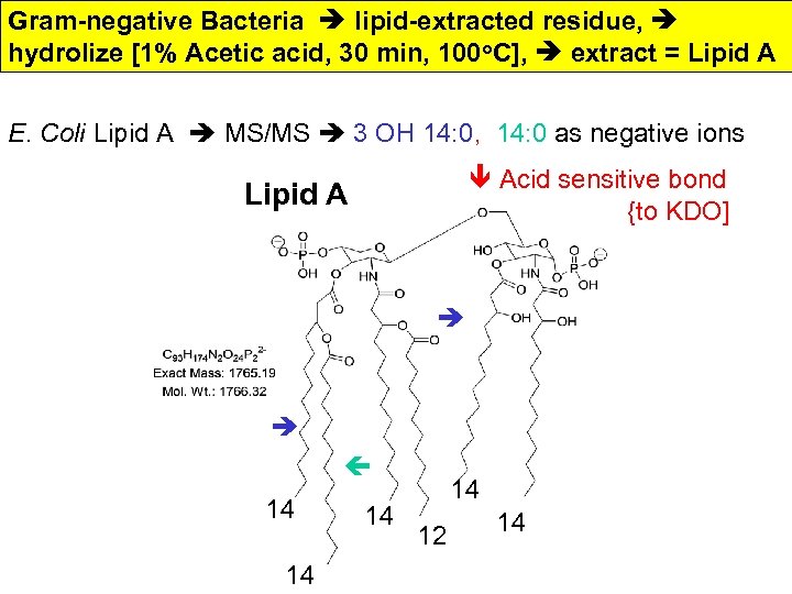 Gram-negative Bacteria lipid-extracted residue, hydrolize [1% Acetic acid, 30 min, 100 o. C], extract