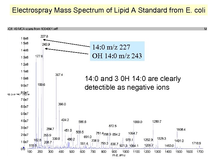 Electrospray Mass Spectrum of Lipid A Standard from E. coli 14: 0 m/z 227