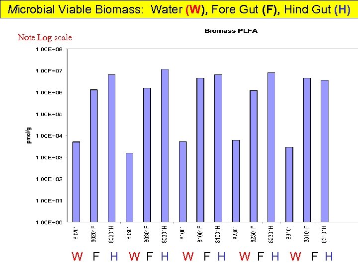 Microbial Viable Biomass: Water (W), Fore Gut (F), Hind Gut (H) Note Log scale