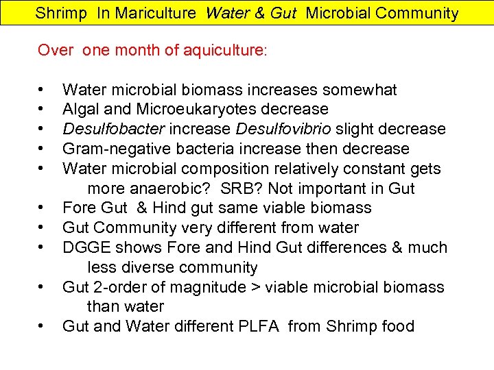 Shrimp In Mariculture Water & Gut Microbial Community Over one month of aquiculture: •