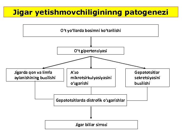Jigar yetishmovchiligininng patogenezi O‘t yo‘llarda bosimni ko‘tarilishi O‘t gipertenziyasi Jigarda qon va limfa aylanishining