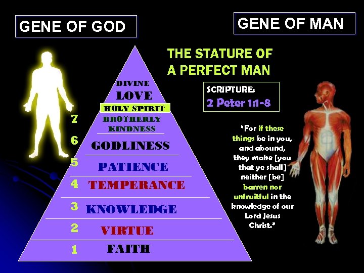 GENE OF MAN GENE OF GOD THE STATURE OF A PERFECT MAN DIVINE LOVE