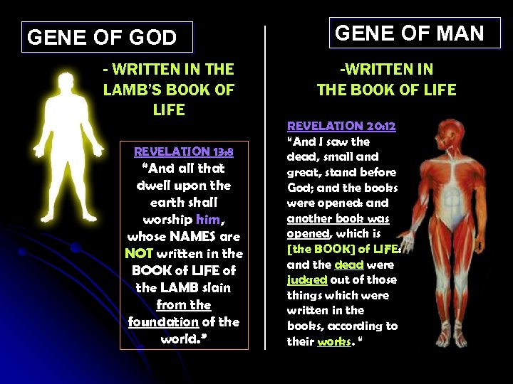 GENE OF GOD - WRITTEN IN THE LAMB’S BOOK OF LIFE REVELATION 13: 8