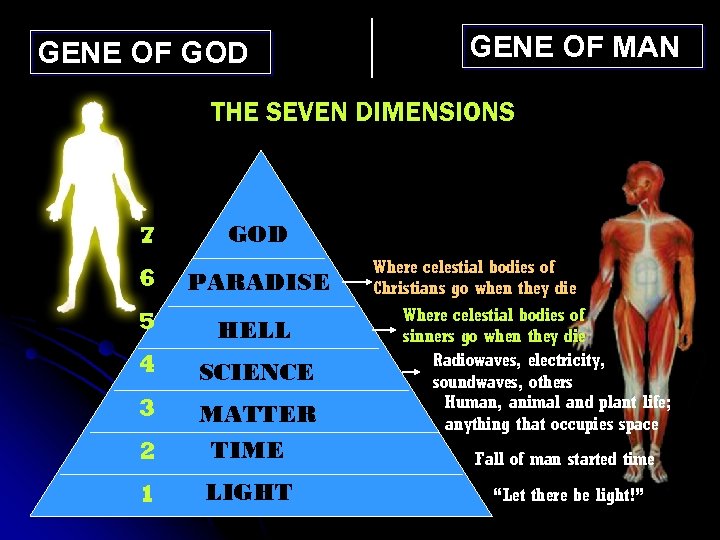 GENE OF GOD GENE OF MAN THE SEVEN DIMENSIONS 7 GOD 6 PARADISE 5