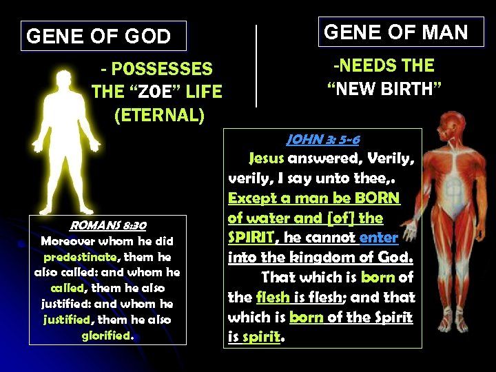 GENE OF GOD - POSSESSES THE “ZOE” LIFE (ETERNAL) GENE OF MAN -NEEDS THE