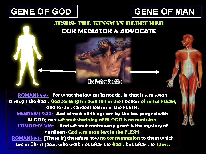 GENE OF GOD GENE OF MAN JESUS- THE KINSMAN REDEEMER OUR MEDIATOR & ADVOCATE