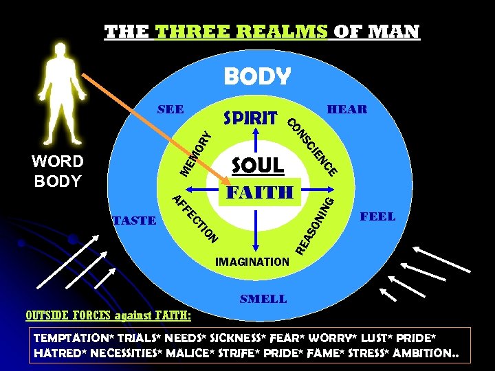 THE THREE REALMS OF MAN BODY SEE FAITH IMAGINATION FEEL RE AS N IO