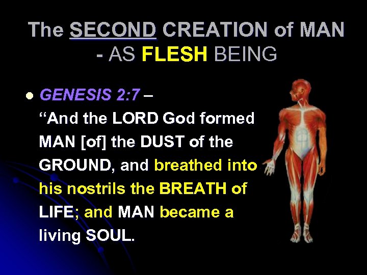 The SECOND CREATION of MAN - AS FLESH BEING l GENESIS 2: 7 –