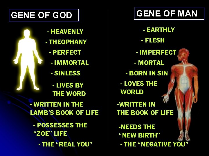 GENE OF GOD - HEAVENLY - THEOPHANY - PERFECT - IMMORTAL - SINLESS -