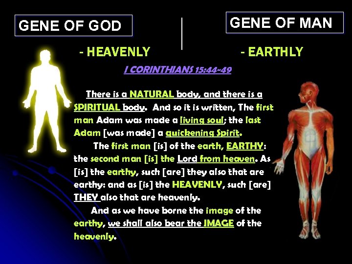 GENE OF MAN GENE OF GOD - HEAVENLY - EARTHLY I CORINTHIANS 15: 44