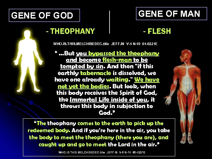 GENE OF GOD - THEOPHANY GENE OF MAN - FLESH WHO. IS. THIS. MELCHISEDEC.