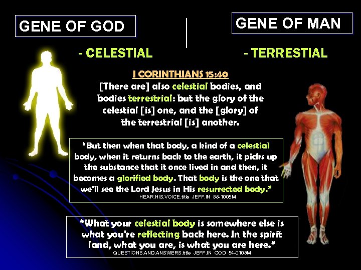 GENE OF MAN GENE OF GOD - CELESTIAL - TERRESTIAL I CORINTHIANS 15: 40