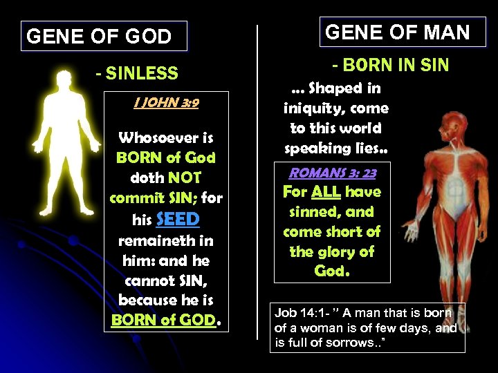 GENE OF GOD - SINLESS I JOHN 3: 9 Whosoever is BORN of God