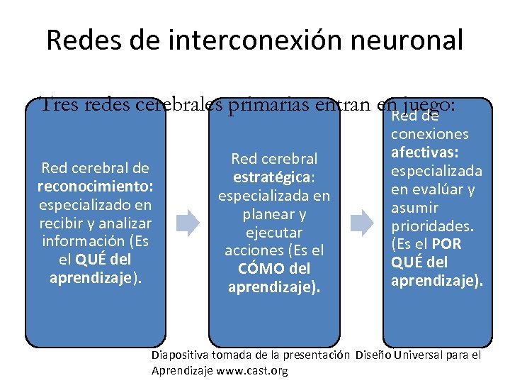 Redes de interconexión neuronal Tres redes cerebrales primarias entran en juego: Red de Red