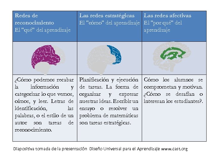 Redes de reconocimiento El "qué" del aprendizaje Las redes estratégicas Las redes afectivas El