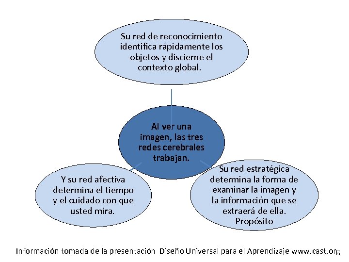 Su red de reconocimiento identifica rápidamente los objetos y discierne el contexto global. Al