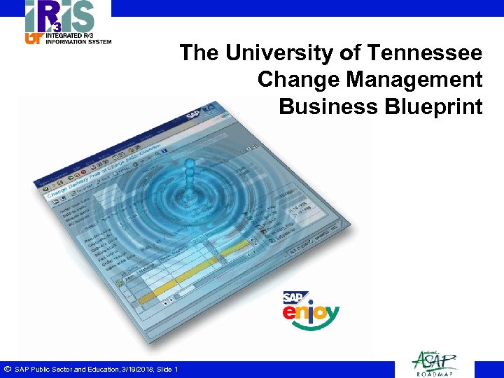 The University of Tennessee Change Management Business Blueprint ã SAP Public Sector and Education,