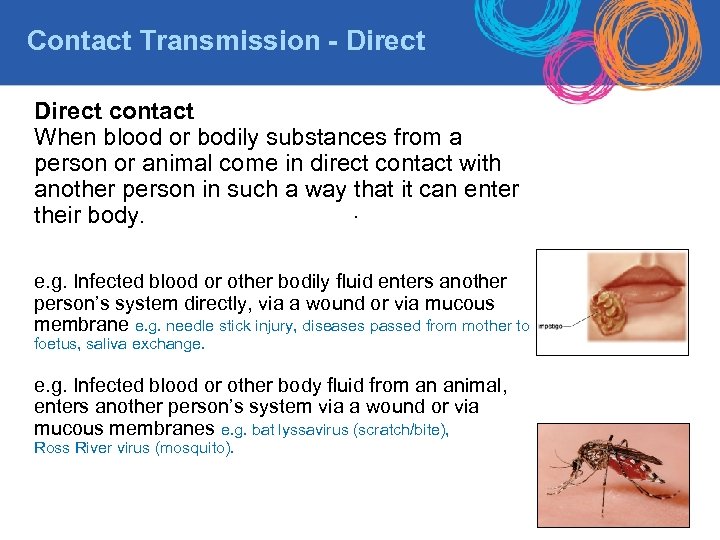 Contact Transmission - Direct contact When blood or bodily substances from a person or