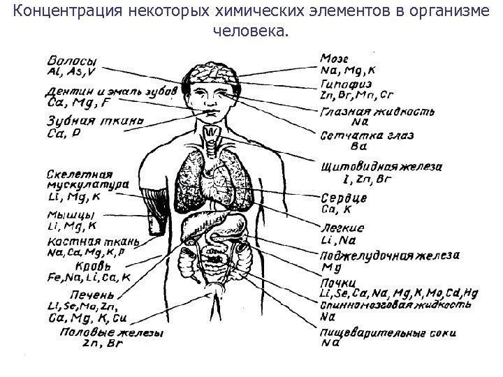 Концентрация некоторых химических элементов в организме человека. 
