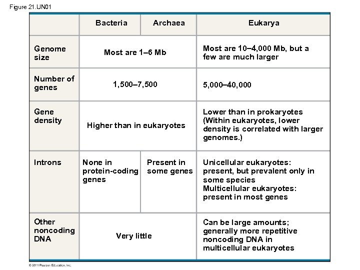 Figure 21. UN 01 Bacteria Genome size Number of genes Gene density Introns Other