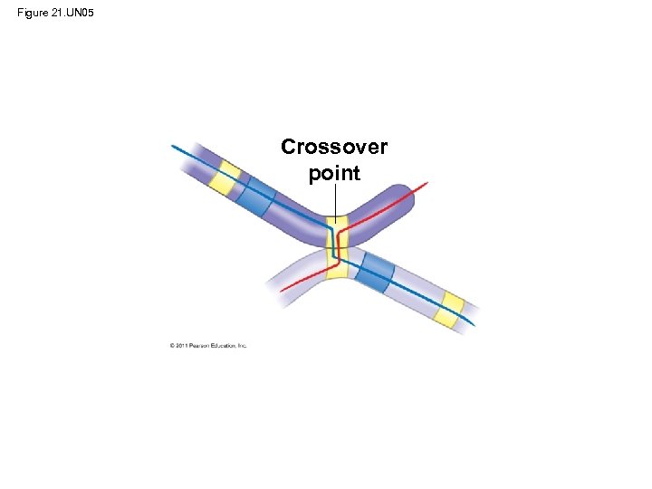 Figure 21. UN 05 Crossover point 