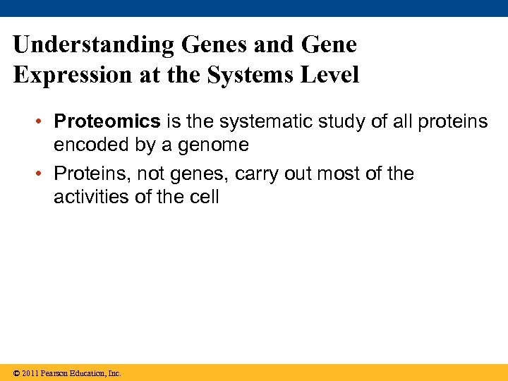 Understanding Genes and Gene Expression at the Systems Level • Proteomics is the systematic