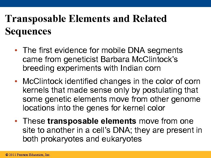 Transposable Elements and Related Sequences • The first evidence for mobile DNA segments came
